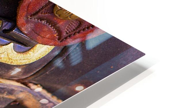 2561350 :: HD Sublimation Metal Print