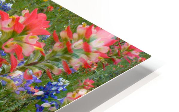 2561353 :: HD Sublimation Metal Print