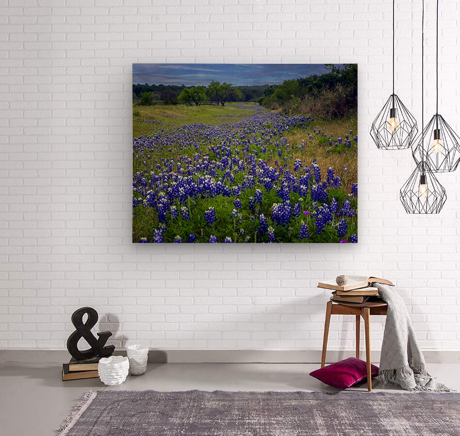 2561335 :: Wood Print