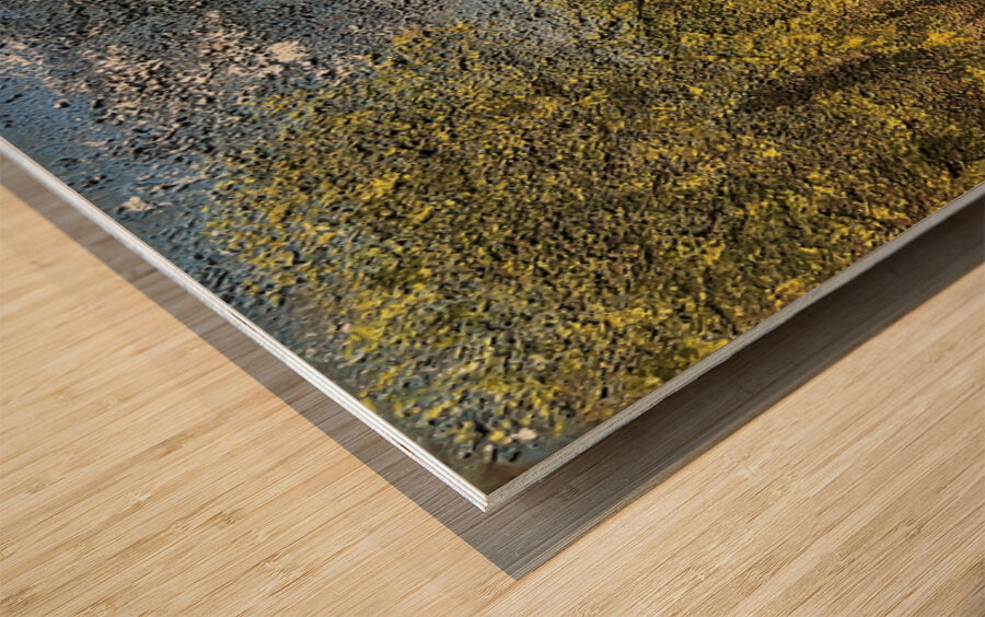 2490085 :: Wood Print