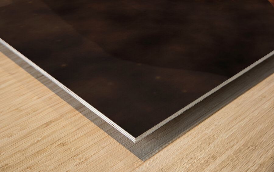 2557175 :: Wood Print