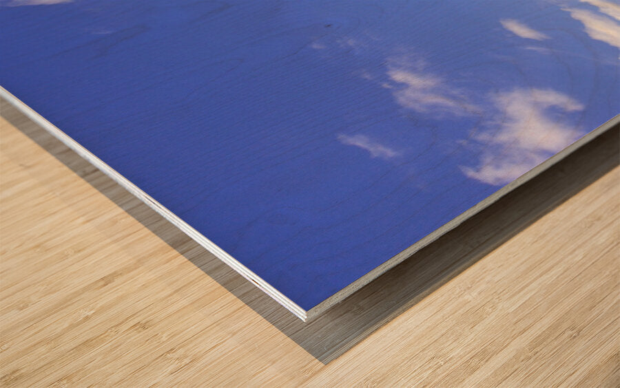 2561316 :: Wood Print