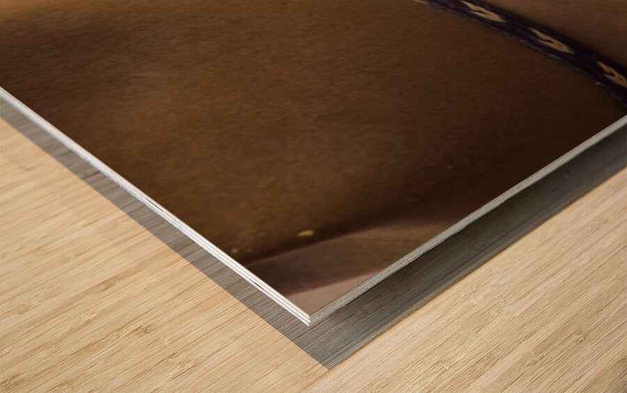 2561327 :: Wood Print