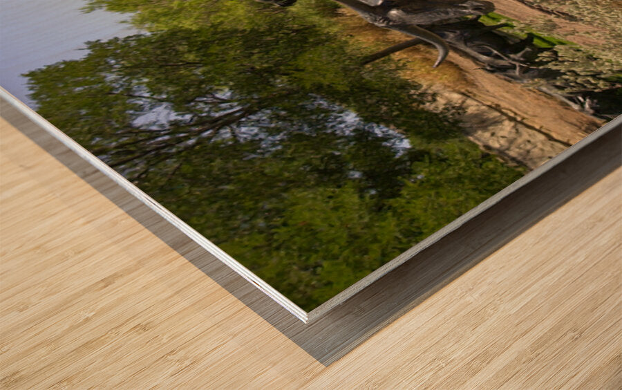 2561329 :: Wood Print