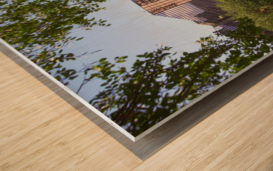 2561331 :: Wood Print