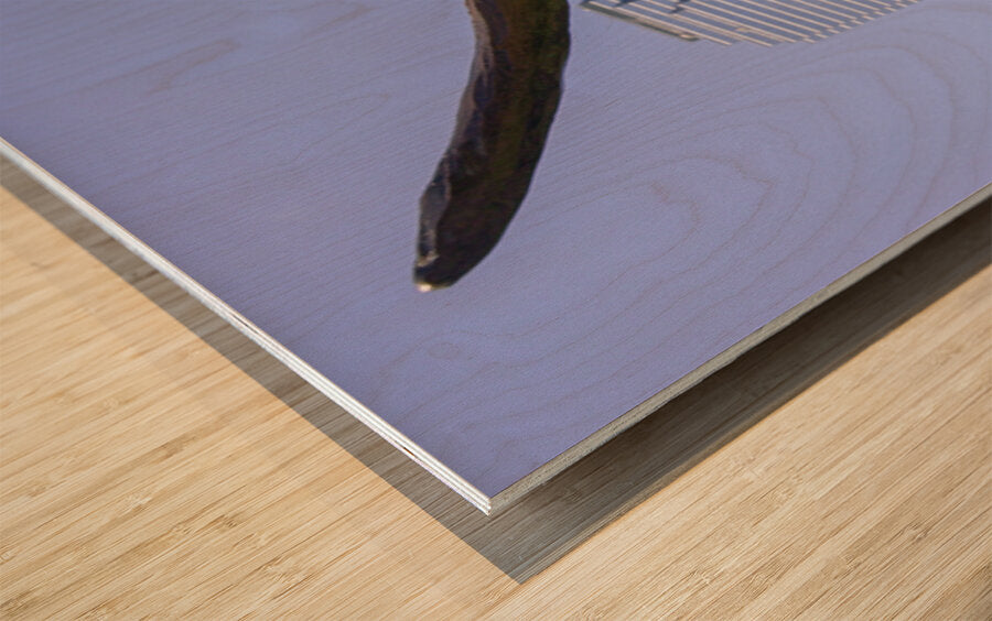 2561332 :: Wood Print