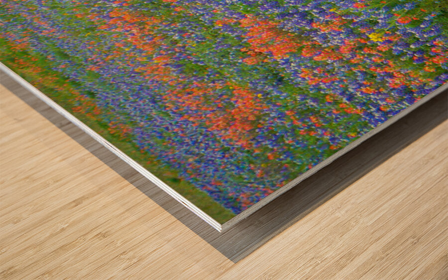 2561333 :: Wood Print