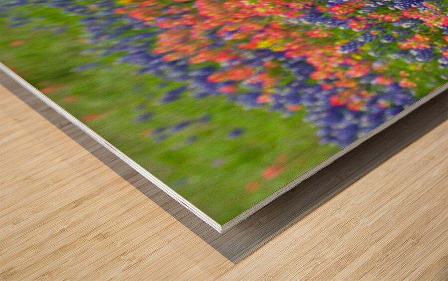 2561334 :: Wood Print