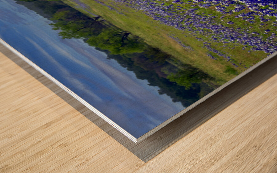 2561335 :: Wood Print