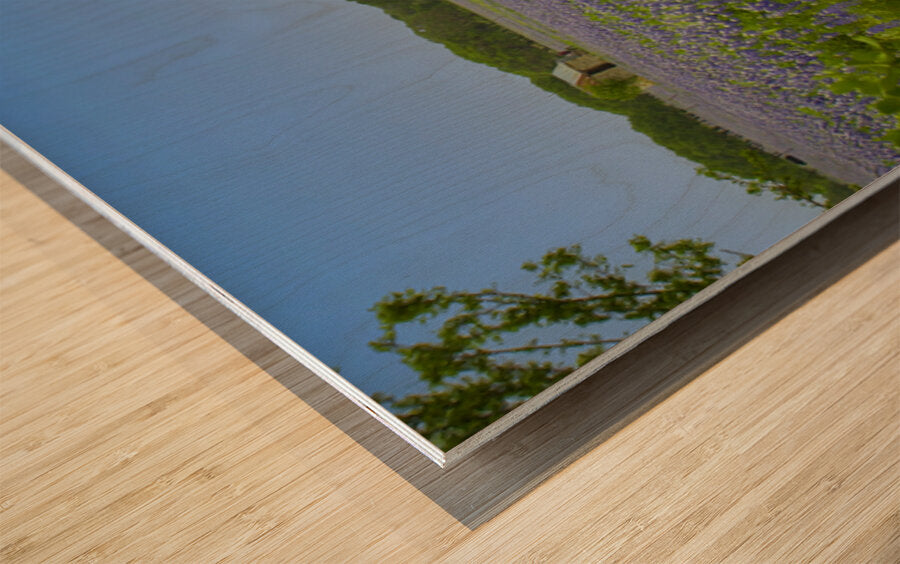 2561337 :: Wood Print