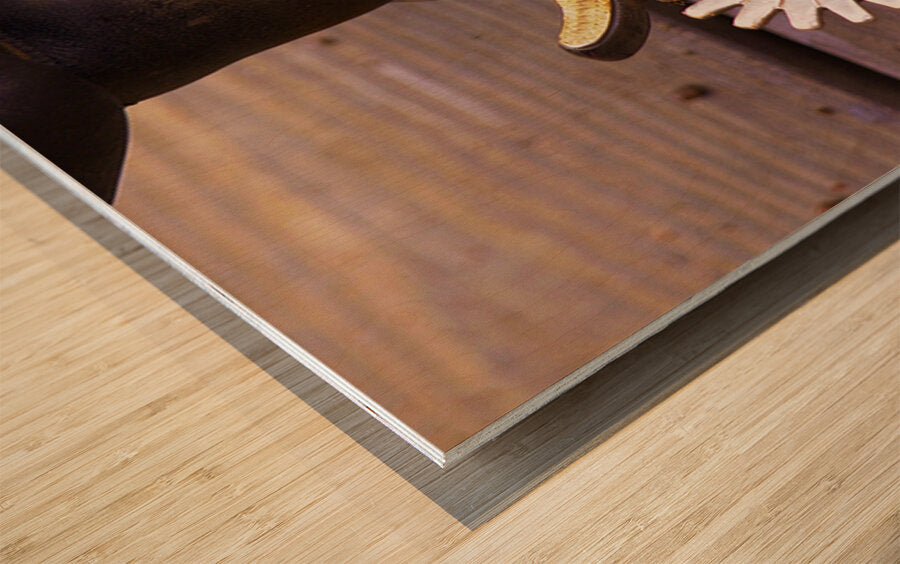 2561350 :: Wood Print