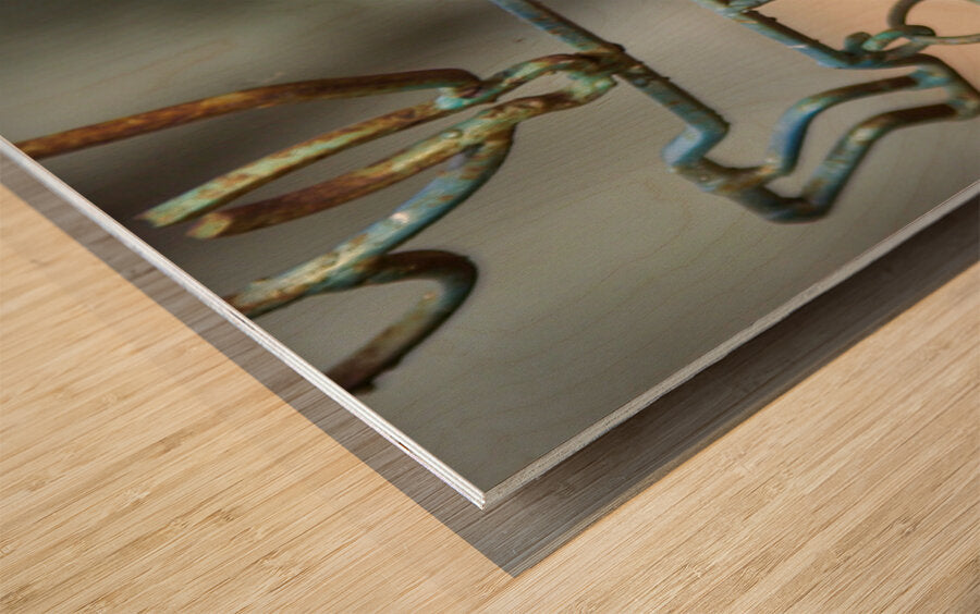 2561351 :: Wood Print