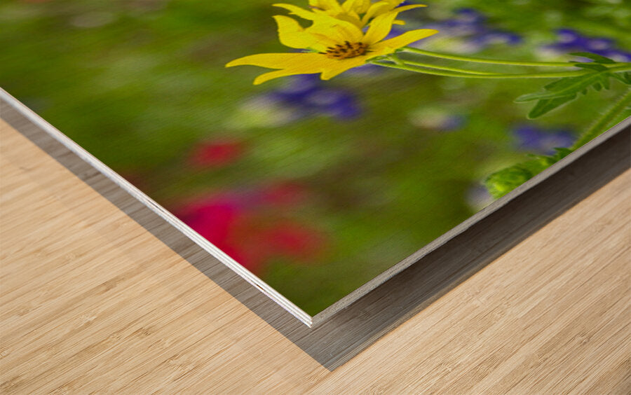 2561352 :: Wood Print