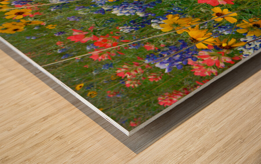 2561353 :: Wood Print